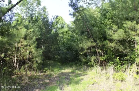 1005 Longtown Rd, Sarah, MS 38665 photo 58
