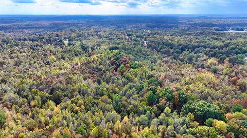 1005 Longtown Rd, Sarah, MS 38665 photo 7
