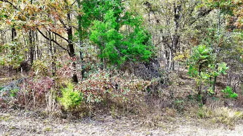 1005 Longtown Rd, Sarah, MS 38665 photo 23