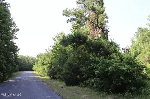 1005 Longtown Rd, Sarah, MS 38665 photo 54