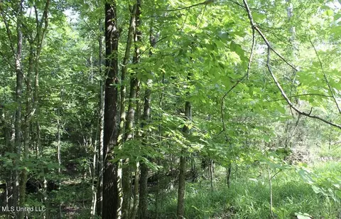 1005 Longtown Rd, Sarah, MS 38665 photo 53