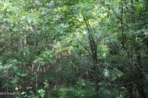 1005 Longtown Rd, Sarah, MS 38665 photo 45