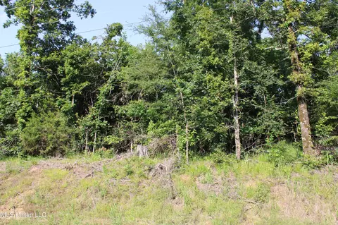 1005 Longtown Rd, Sarah, MS 38665 photo 31