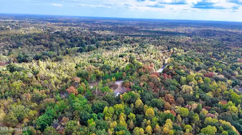 1005 Longtown Rd, Sarah, MS 38665 photo 8