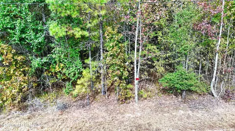 1005 Longtown Rd, Sarah, MS 38665 photo 18