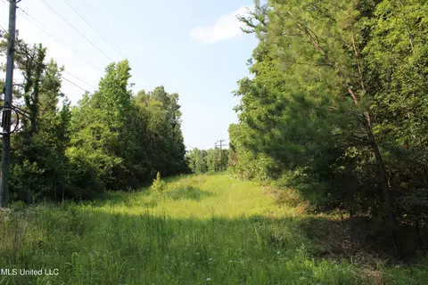 1005 Longtown Rd, Sarah, MS 38665 photo 34