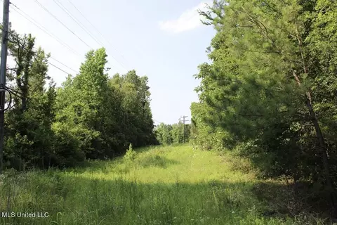 1005 Longtown Rd, Sarah, MS 38665 photo 50