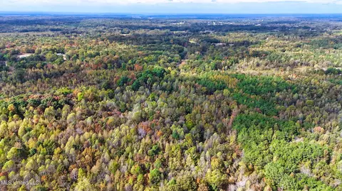 1005 Longtown Rd, Sarah, MS 38665 photo 6