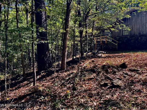 140 County Road 521, Como, MS 38619 photo 27