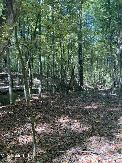 140 County Road 521, Como, MS 38619 photo 29