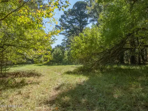 No Lorman Lane, Madison, MS 39110