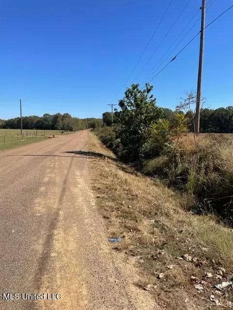 0 Rowell Rd, Coldwater, MS 38618 photo 2