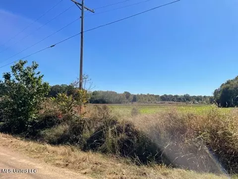 0 Rowell Rd, Coldwater, MS 38618 photo 3