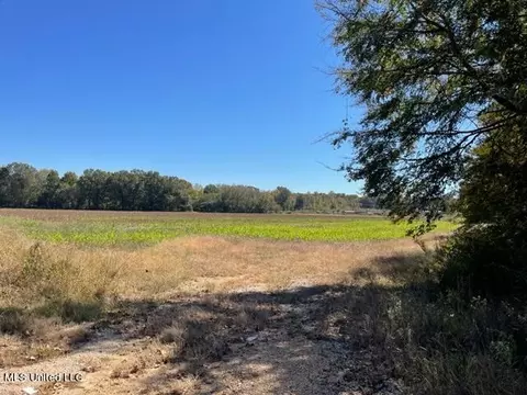 0 Rowell Rd, Coldwater, MS 38618 photo 4