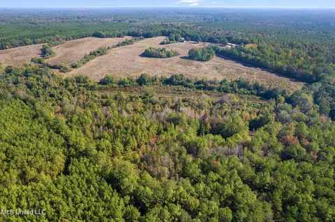 SW Jordan Dr, Smithdale, MS 39664 photo 5