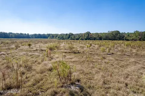 SW Jordan Dr, Smithdale, MS 39664 photo 21