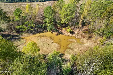 SW Jordan Dr, Smithdale, MS 39664 photo 14