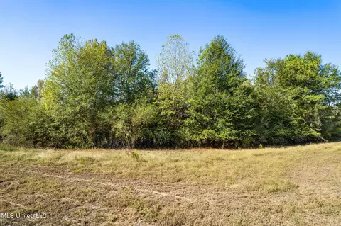 SW Jordan Dr, Smithdale, MS 39664 photo 26