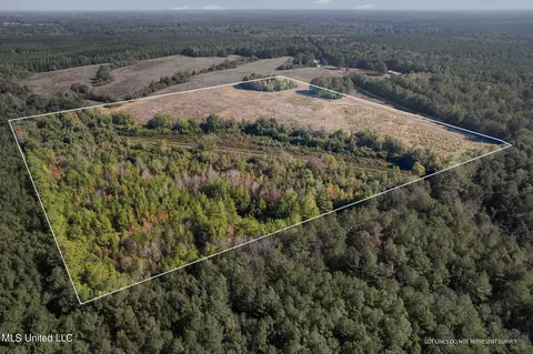 SW Jordan Dr, Smithdale, MS 39664 photo 3