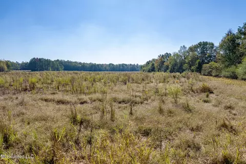 SW Jordan Dr, Smithdale, MS 39664 photo 22