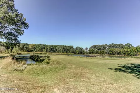 29743 Us-51, Como, MS 38619 photo 8