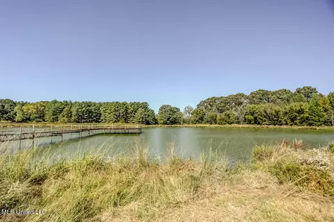 29743 Us-51, Como, MS 38619 photo 9