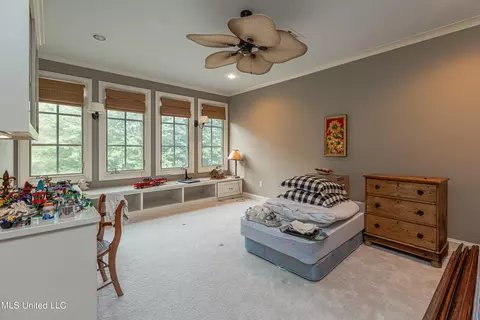 341 Johnstone Dr, Madison, MS 39110 photo 67