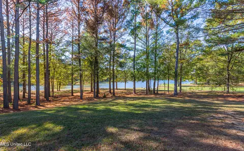 341 Johnstone Dr, Madison, MS 39110 photo 16