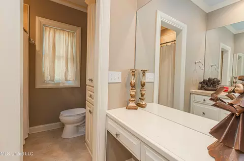 341 Johnstone Dr, Madison, MS 39110 photo 75