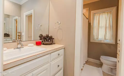 341 Johnstone Dr, Madison, MS 39110 photo 74