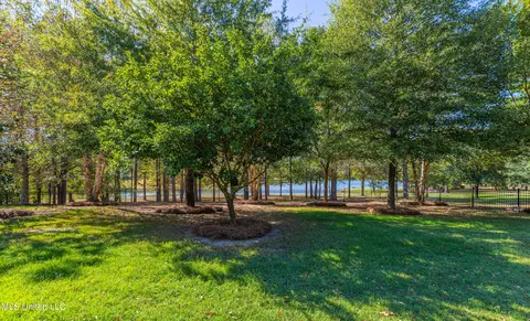 341 Johnstone Dr, Madison, MS 39110 photo 15