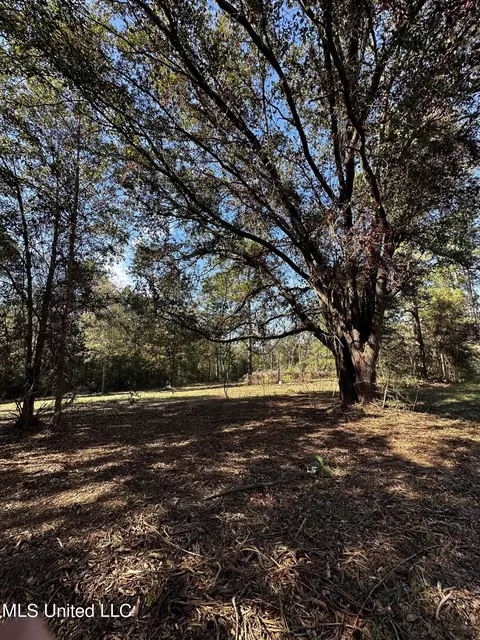 Ellis Hamilton Road, Moss Point, MS 39562