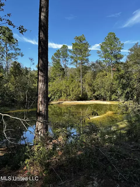 Ellis Hamilton Road, Moss Point, MS 39562 photo 5