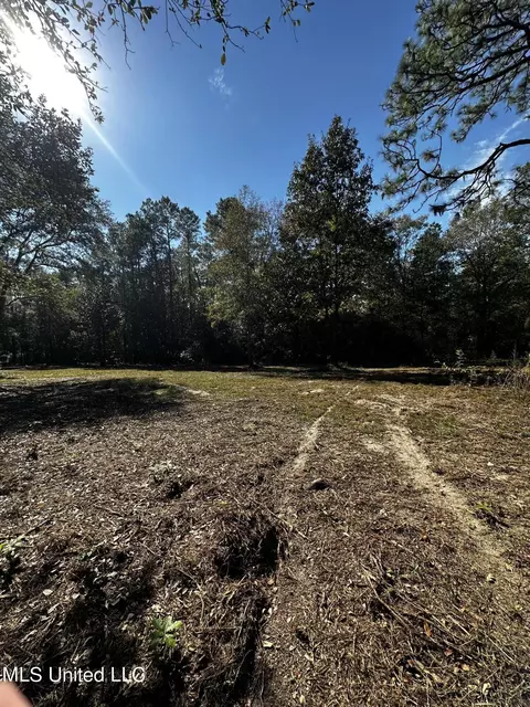 Ellis Hamilton Road, Moss Point, MS 39562 photo 4