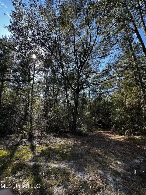Ellis Hamilton Road, Moss Point, MS 39562 photo 6