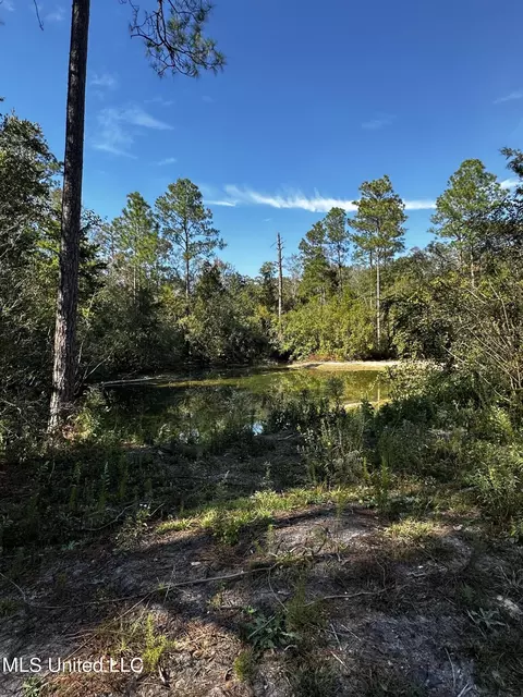 Ellis Hamilton Road, Moss Point, MS 39562 photo 7