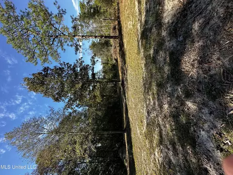 Ellis Hamilton Road, Moss Point, MS 39562 photo 3
