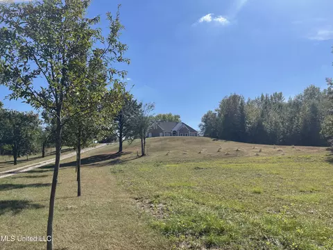 314 Wilburn Rd, Lamar, MS 38642 photo 37