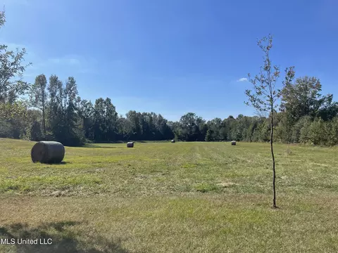 314 Wilburn Rd, Lamar, MS 38642 photo 36