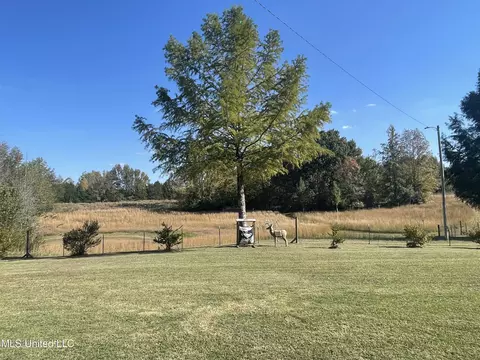 314 Wilburn Rd, Lamar, MS 38642 photo 35