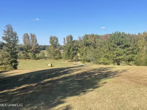 314 Wilburn Rd, Lamar, MS 38642 photo 23