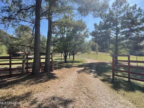314 Wilburn Rd, Lamar, MS 38642 photo 3