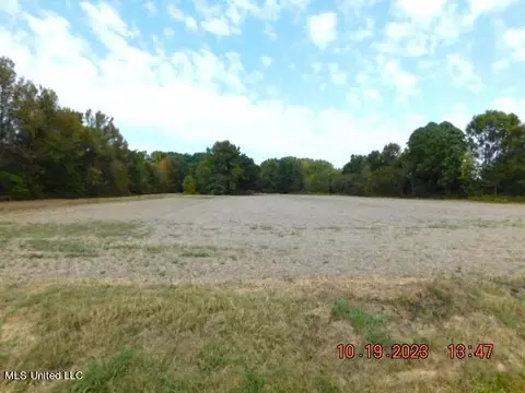 0000 Dean Rd, Nesbit, MS 38651 photo 2