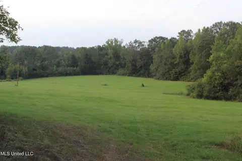 535 Cr 132 A, Raleigh, MS 39153