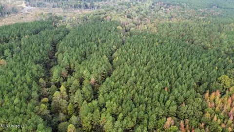 Cr 2120, Mccool, MS 39108 photo 18