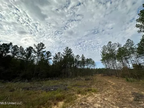 Cr 2120, Mccool, MS 39108 photo 13