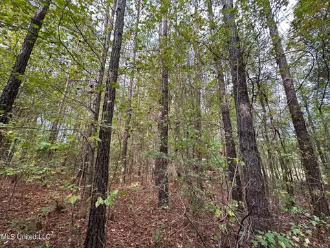 Cr 2120, Mccool, MS 39108 photo 9