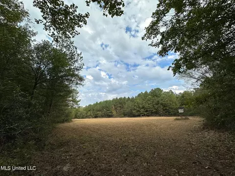 Cr 2120, Mccool, MS 39108 photo 10