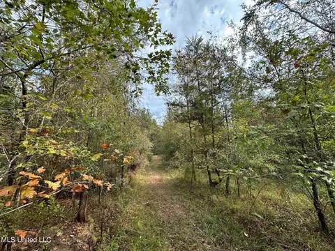 Cr 2120, Mccool, MS 39108 photo 8