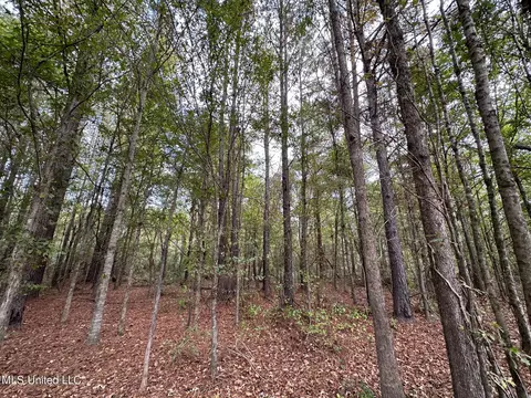 Cr 2120, Mccool, MS 39108 photo 11